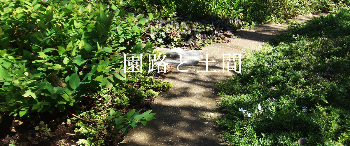 園路と土間